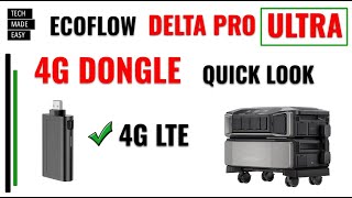 4G Dongle for EcoFlow Delta Pro Ultra 4G Dongle [upl. by Lal323]