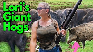 She Goes WILD HOG HUNTING Biggest Pigs Ever Seen [upl. by Ahteres850]