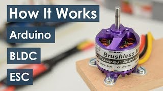 How Brushless Motor and ESC Work and How To Control them using Arduino [upl. by Regor]