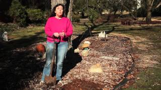 How to Keep Cats Out of Garden Beds  Gardening Tips amp Advice [upl. by Ahseki]