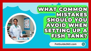 What Common Mistakes Should You Avoid When Setting Up a Fish Tank  PetGuide360com [upl. by Ayokahs512]