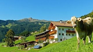 Urlaub auf dem Bauernhof in Südtirol  Roter Hahn Thalhofer Hof in Latzfons [upl. by Shandie]