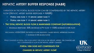 Hepatology Keyword Review 2019  Dr Rebel [upl. by Nonnaehr]