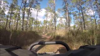 ATV Riding in the Osceola National Forest [upl. by Placeeda]