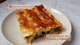 Receta Canelones rellenos de Ricotta y Espinaca l Gourmet [upl. by Ervine632]