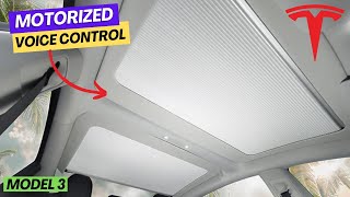 Tesla Model 3 Just Got Cooler Motorized Sunroof Shades With Voice Control [upl. by Niryt3]