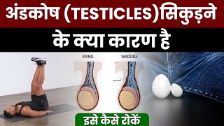 क्या वैरीकोसेल से अंडकोष में सिकुड़न आती है  Best Exercise for Testicular Atrophy  Dr Health [upl. by Waltner]