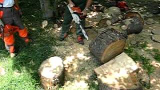 KICK BACK MOTOSEGA CHAINSAW STIHL MS 260 [upl. by Nagard]