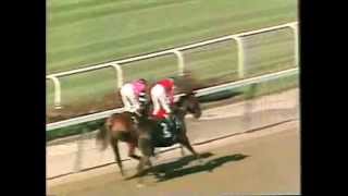 Affirmed  1978 Belmont Stakes CBS footage [upl. by Maidie364]