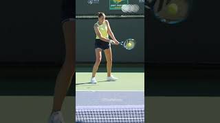 Karolina Pliskova Backhand [upl. by Yolande]