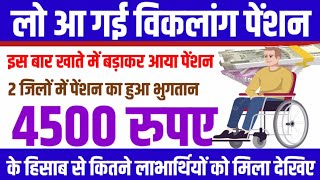 लो आ गई विकलांग पेंशन  divyang pension news  divyang pension  viklang pension news [upl. by Ellerrehs474]