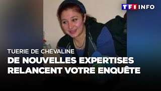 Tuerie de chevaline  de nouvelles expertises relancent votre enquête [upl. by Adiv894]