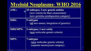 Overview of Classification Myeloid Neoplasms by Kathryn Foucar MD [upl. by Yanttirb797]