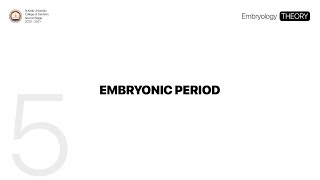 5 Embryonic Period  Embryology THEORY [upl. by Delorenzo]