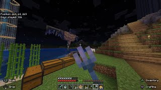 Minecraft ps5 91 [upl. by Hussey619]