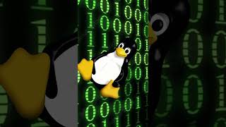 Até Sua Vó Pode Usar Linux linuxoperatingsystem linuxbonito archlinux windows linux mint [upl. by Alaster]