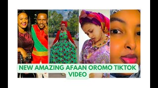 NEW NEW Afaan oromoo tiktok videoEthiopian new afaan oromoo tiktok videoethiopian music videoEBS [upl. by Garges891]