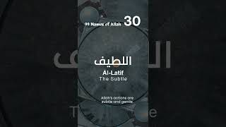 3099 Names of Allah AlLatif اللطيف [upl. by Nosnarb490]