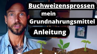 Buchweizensprossen Superfood  deswegen esse ich sie jeden Tag Schützt das HerzKreislaufSystem [upl. by Inalaeham]