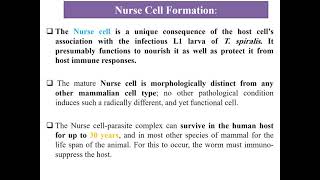 Lecture 10 Medical Helminthology Phylum Nematoda [upl. by Keary]