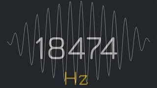 1Hz to 22000Hz frequency generator human audio spectrum suara pembersih speaker hp [upl. by Blayze]