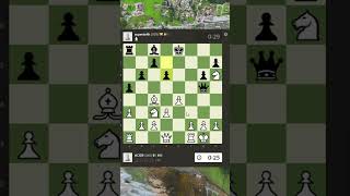 Pea Brain Takes on Chess The most unusual chess matches youll ever see [upl. by Yahsed]