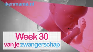 30 weken zwanger  ikenmamanl [upl. by Ed]