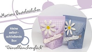 Kleine selbstschließende Box quotGänseblümchenglückquot in den In Color 20192021 von Stampin´ Up [upl. by Kizzee]