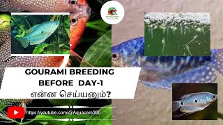 GOURAMI BREEDING BEFORE DAY1 Aquacare360 aquarius viral fish gouramifish youtube pets [upl. by Laup932]