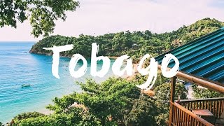 TOBAGO  TOP 10 THINGS to See amp Do  Travel Guide [upl. by Iilek788]