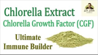 One Key to Longevity Chlorella Growth Factor CGF [upl. by Anirazc978]