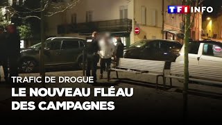 ENQUÊTE  Trafic de drogue  le nouveau fléau des campagnes [upl. by Patman]