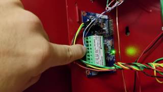 How To Install Honeywell 4232CBM and Internet Communications using one cat5 [upl. by Alyda]