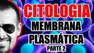 Membrana Plasmática  Propriedades e Estrutura da Membrana Celular  Citologia  VideoAula 014 [upl. by Delaine838]