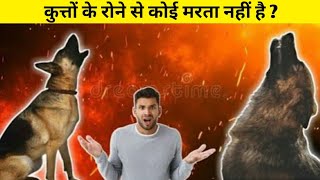 रात में कुत्ते के रोने से मौत रहस्य  Why Dog Howl At Night in Hindi facts mrboiz [upl. by Ameehs]