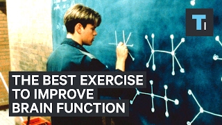 Neuroscientist explains the best exercise to improve brain function [upl. by Llerat162]