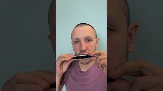 Diatonic Harmonica Sound Demo [upl. by Corabelle]