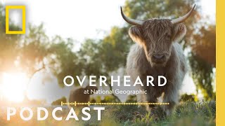 Farming for the Planet  Podcast  Overheard at National Geographic [upl. by Esirehs]