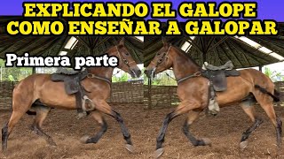 EXPLICANDO EL GALOPE COMO ENSEÑAR A GALOPAR [upl. by Anileba69]