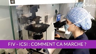 FIV ICSI en laboratoire PMA Comment ça marche [upl. by Rothberg]