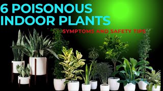 6 Harmful Plants to Avoid Keeping at Home [upl. by Bortz917]