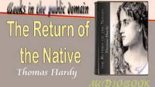 The Return of the Native Audiobook Chapter 43 [upl. by Janessa515]