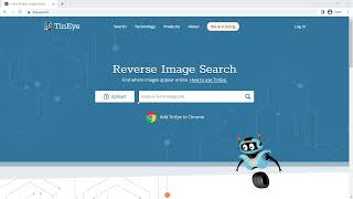 Reverse Image Search Using TinEye [upl. by Tyrus]