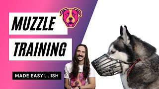 How to Muzzle Train your dog [upl. by Alleusnoc]