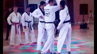 Taekwondo Demonstration Puma [upl. by Terence559]