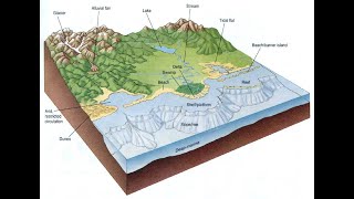 Organic geochemistry lectures Formation of source rock [upl. by Kleinstein]