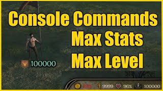 How to Enable Console CommandsCheat Menu  Mount amp Blade II Bannerlord Check Comment for Update [upl. by Gemmell]