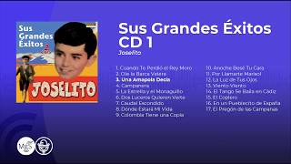 Joselito  Sus Grandes Éxitos álbum completo  full album [upl. by Deenya]