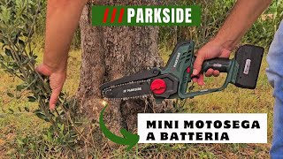 Mini MOTOSEGA PARKSIDE A BATTERIA 20 VOLT [upl. by Ymac342]