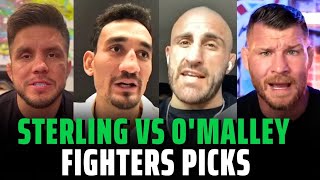 UFC 292 Aljamain Sterling vs Sean OMalley Fighters Picks [upl. by Buford202]